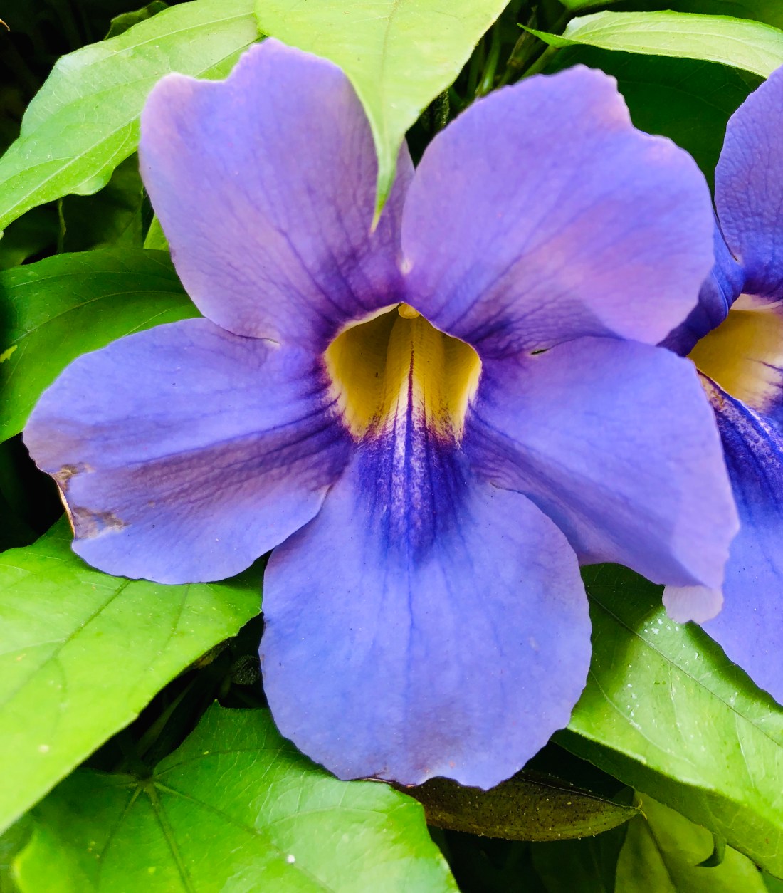 712B04EC-4961-473A-B3DE-61898061F04C